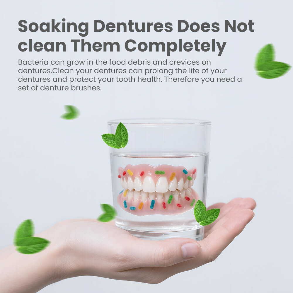 bulk denture cleaning brush wholesale