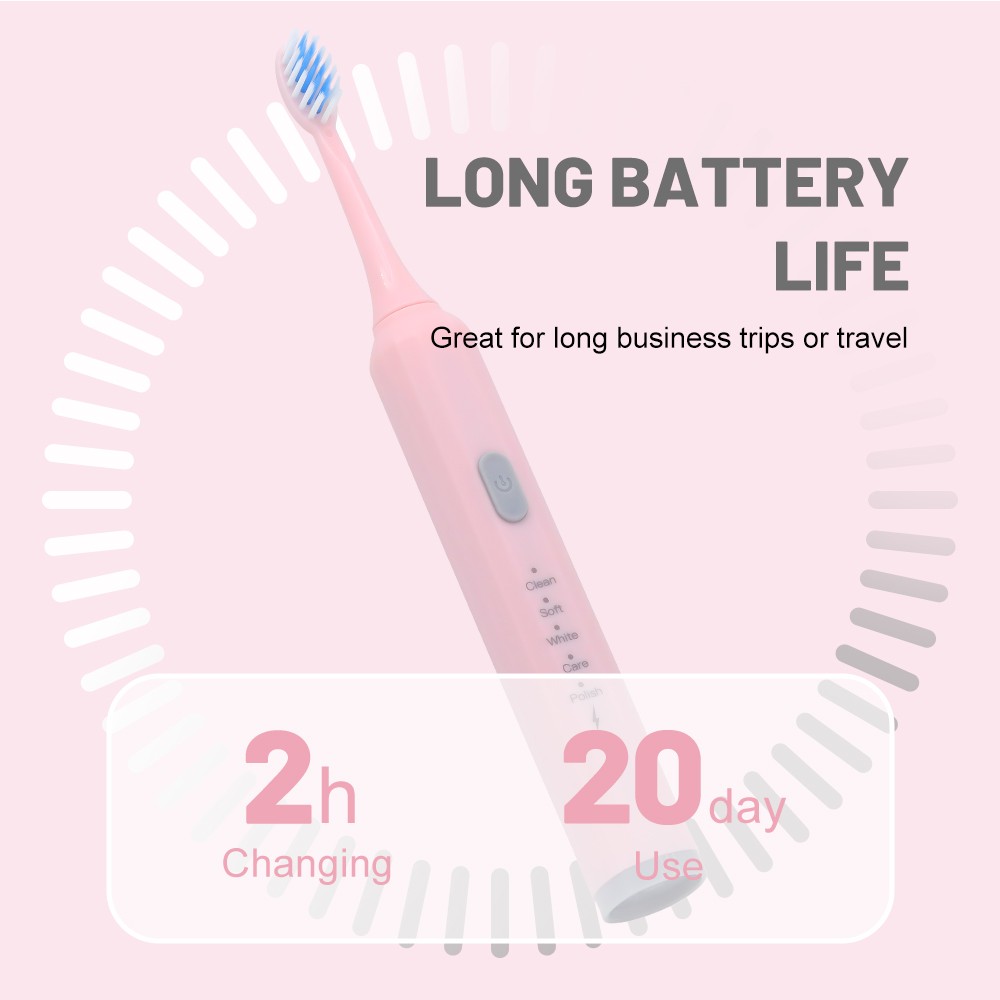 travel portable toothbrush