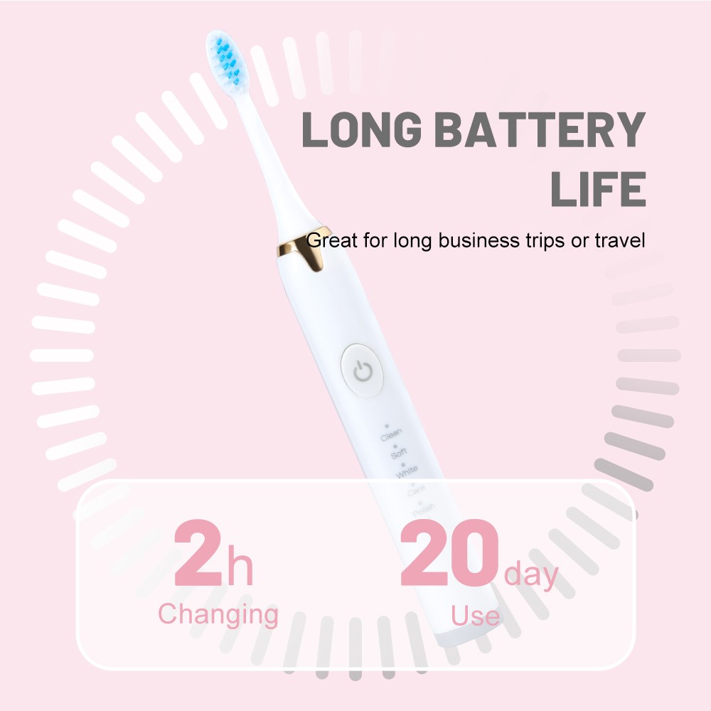 Customized High Quality Rechargeable Electric Sonic Toothbrush