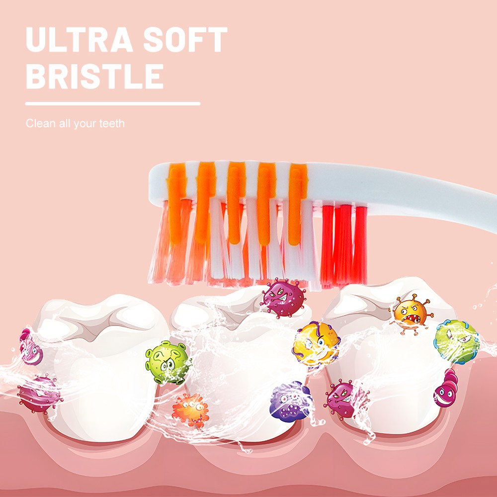 Toothbrush Manufacturer Factory Medium Bristles with Large Handle Manual Toothbrush