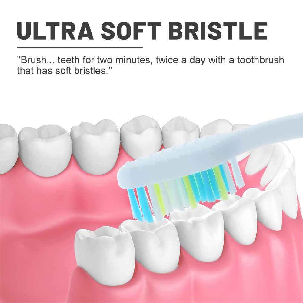 Adult manual toothbrush