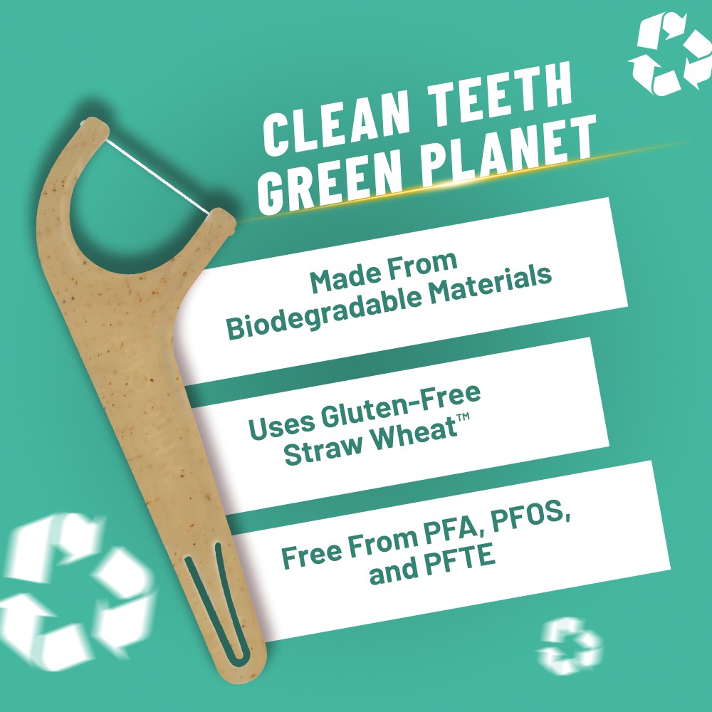 Biodegradable Dental Floss Picks - Large Pack for Home & Travel Teeth Care