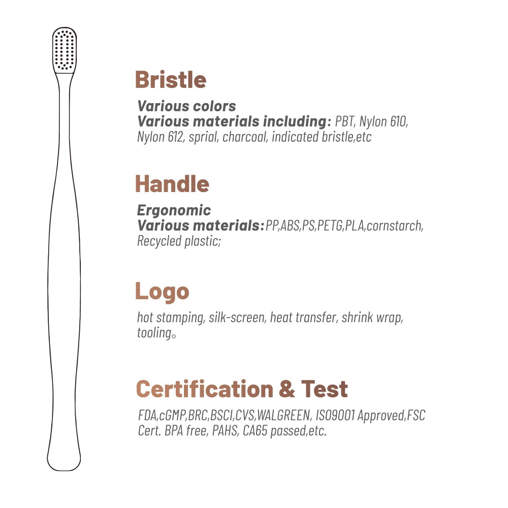 Orthodontic Personalized Toothbrush  for Ortho Patient Care Manufacturer