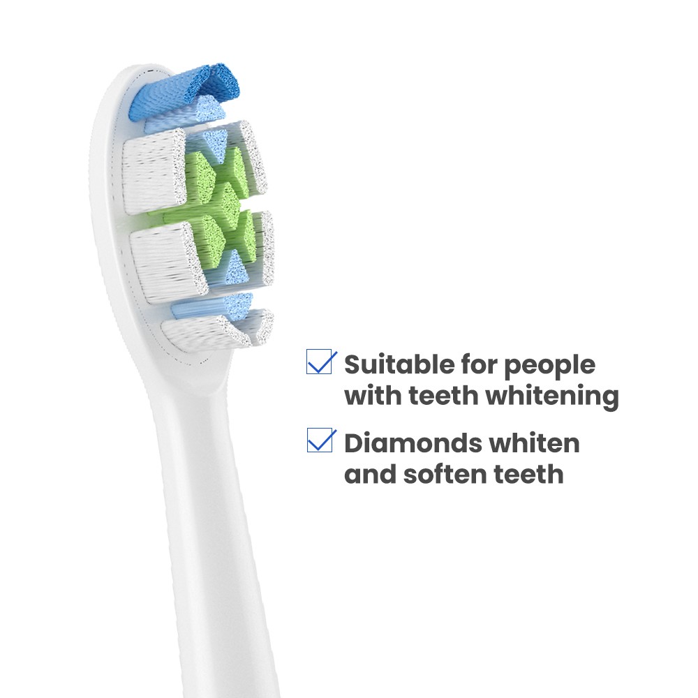 Copper Free Toothbrush Replacement Head DuPont Nylon Bristle Metal Free Replacement Toothbrush Head