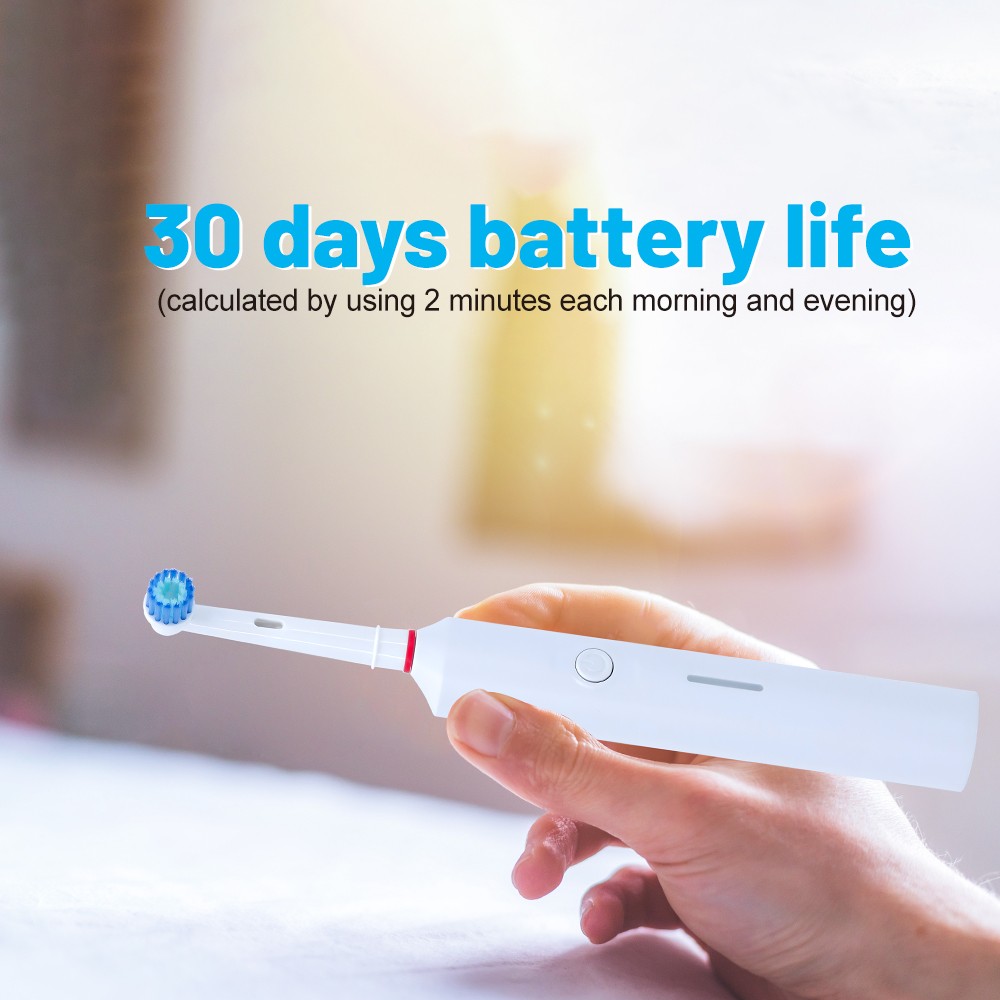 Personal Care Portable Travel Automatic Sonic Rotary Electric Toothbrush