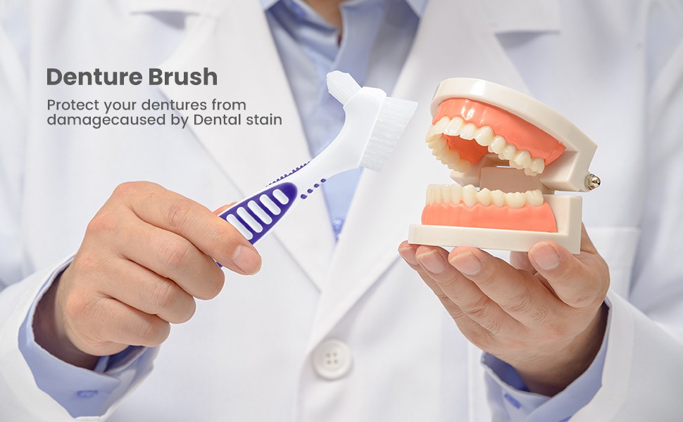 False Teeth Cleaning Brush Denture Brushes Wholesale Denture Toothbrush