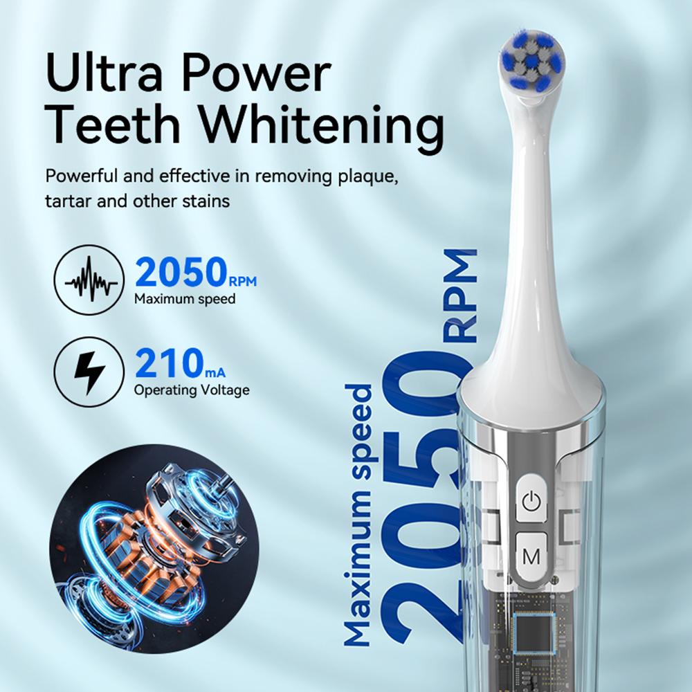 Factory Sale Rotary Electric Sonic Toothbrush Replaceable IPX7 Polishing Head Tooth Polisher