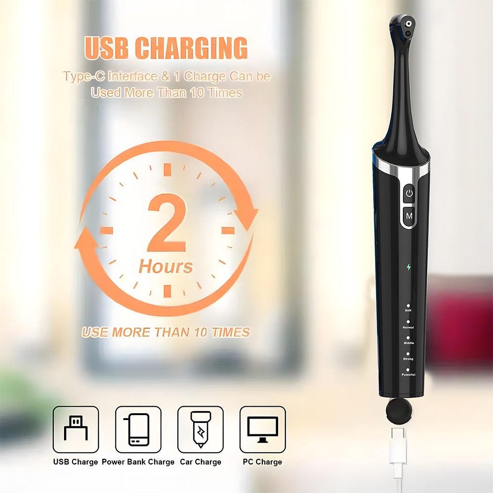 Home Use Sonic Rechargeable Electric Tooth Polisher 7 Brush Heads Waterproof IPX7 Medium Whitening Polishing