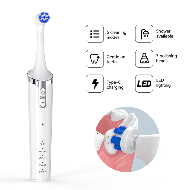Factory Sale Rotary Electric Sonic Toothbrush Replaceable IPX7 Polishing Head Tooth Polisher