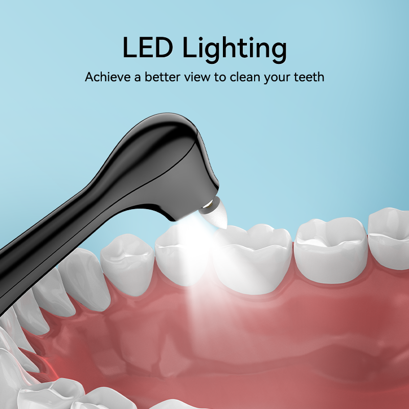 Factory Sale Rotary Electric Sonic Toothbrush Replaceable IPX7 Polishing Head Tooth Polisher