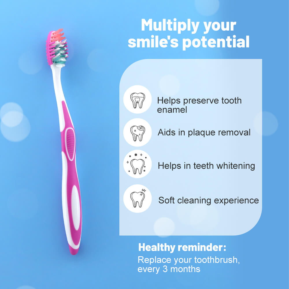 bulk toothbrush supplier