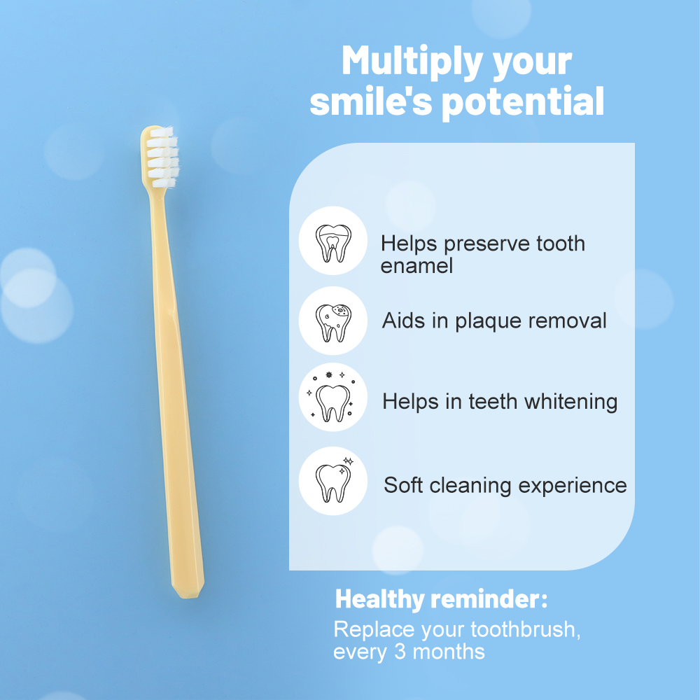 travel toothbrush kit