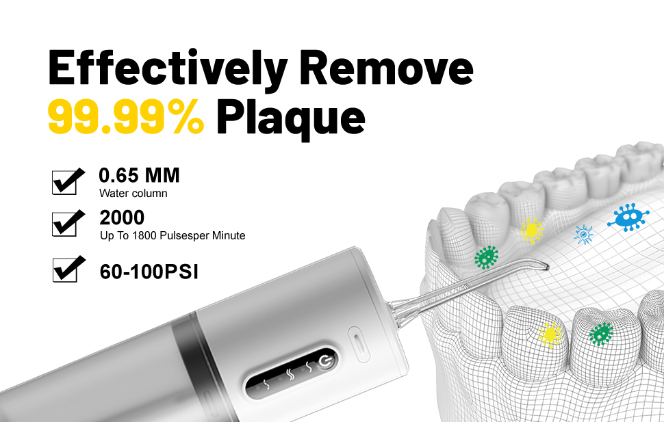 Wholesale Dental Flosser.jpg