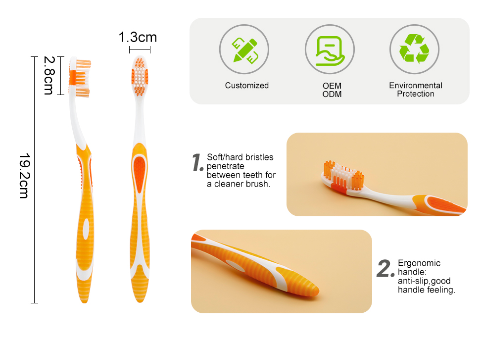Personal Oral Care Toothbrush wholesale.jpg